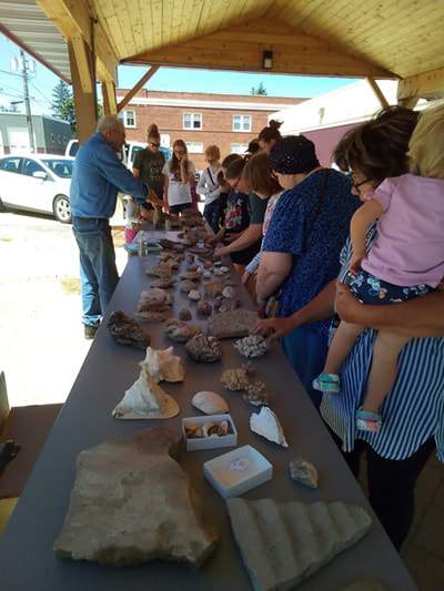 adults and children explore tables full of fossils
