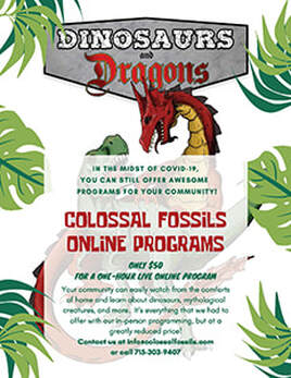 Colossal Fossils Online Programs