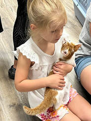 young girl holds a kitten